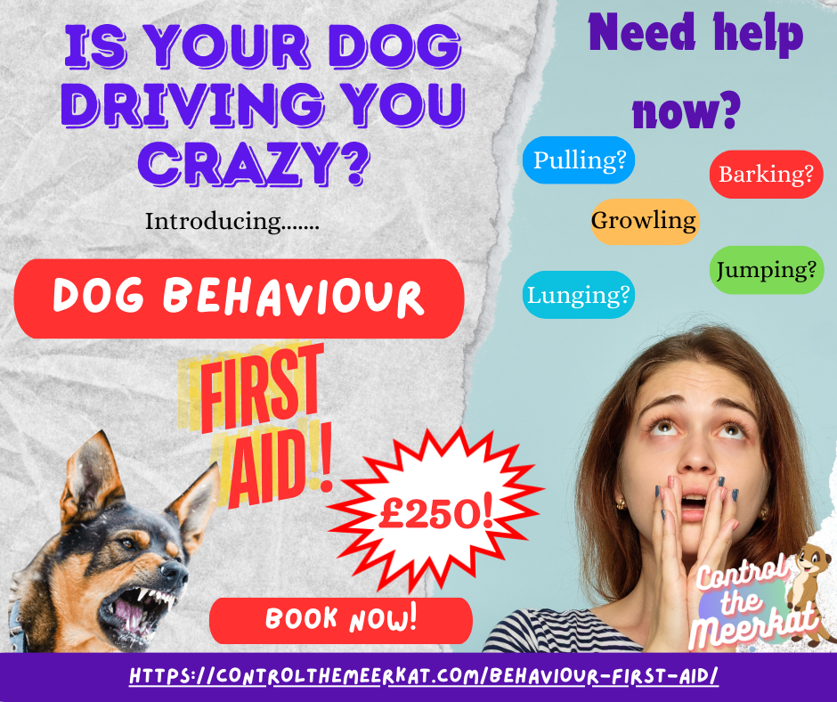 Promotional image for a dog behaviour first aid consult. Features a distressed dog, a stressed woman, and colorful text highlighting issues like pulling, barking, and jumping. Course costs £250.