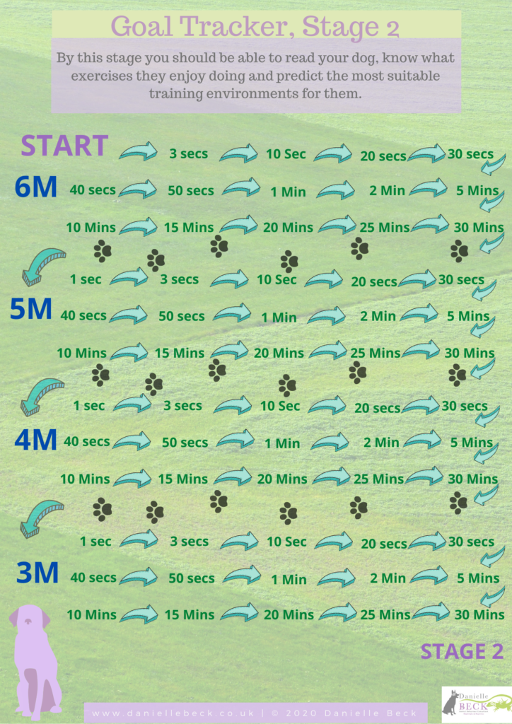 An infographic for checking in on a dog's goal progress while on a walk.