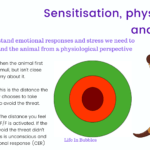 An image of a tiger with the words sensitization, physiology, and stress.