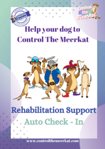 Help your dog control the meerkat rehabilitation support auto check-in.