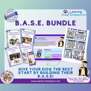 Base e bundle - give your dog the best start.