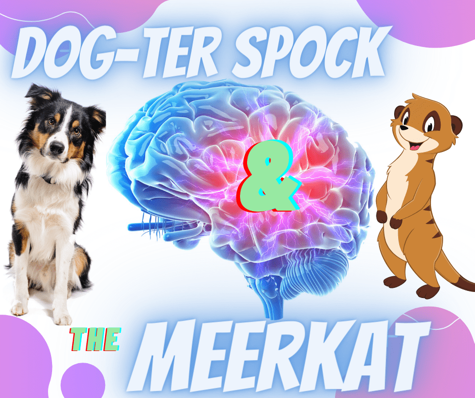 Dog-ter Spock and the Meerkat. Image has a white background with pink bubbles in the corners. The centre image is a brain with a tri coloured border collie to the left and the animated happy meerkat to the right