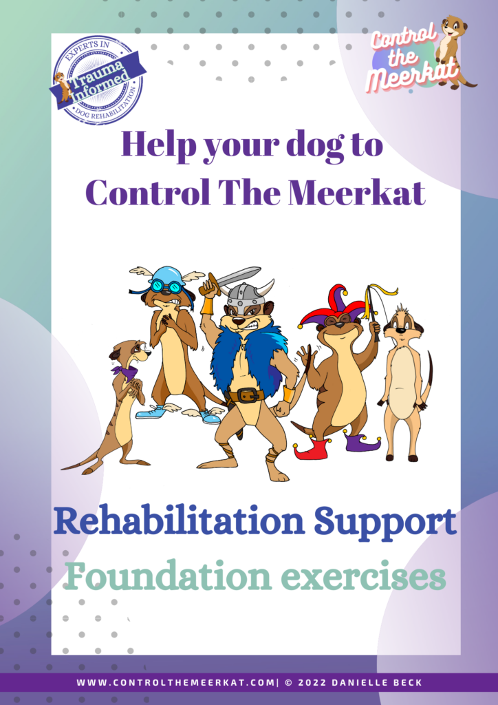 Help your dog to control the rat rehabilitation support foundation exercises.