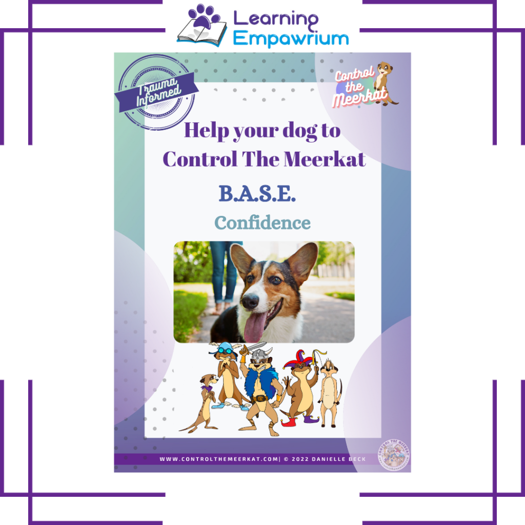 Help your dog to control the weekkat base confidence.