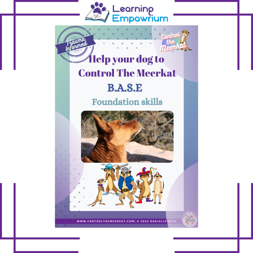Help your dog to control the weckkat base foundation skills.