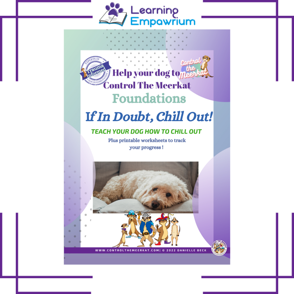 A poster for the foundations of dog training.