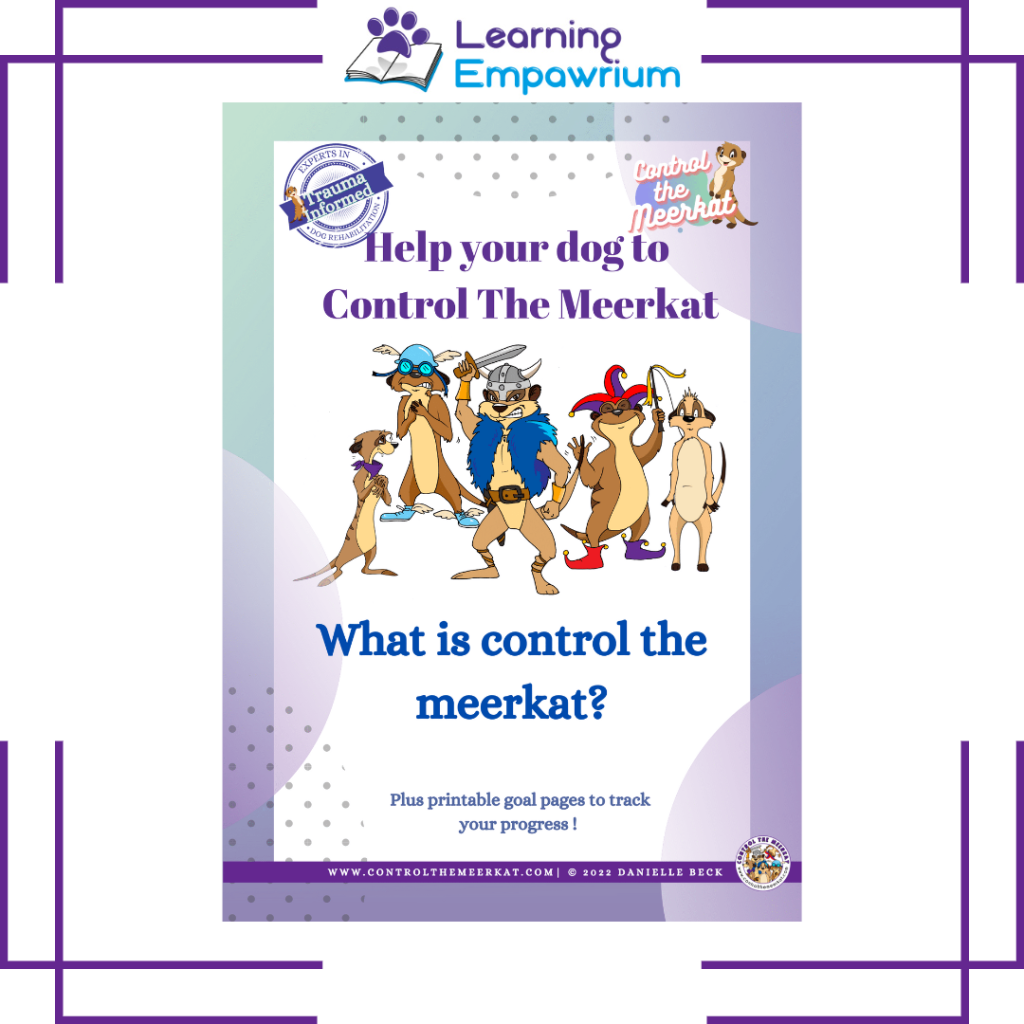 Learning dog help you control the meekkat what is control the meekkat?.
