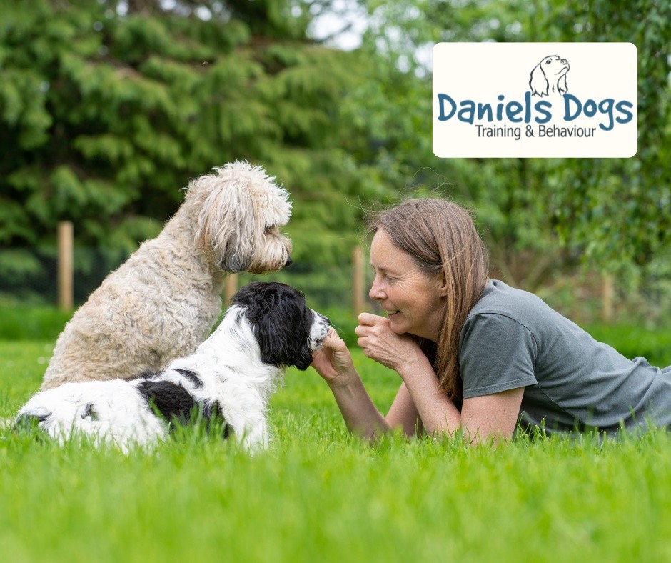 A woman laying on the grass with two dogs.