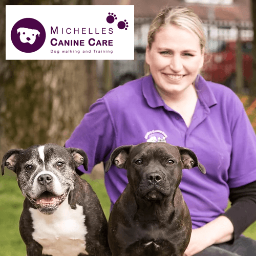 Michelle's canine care.