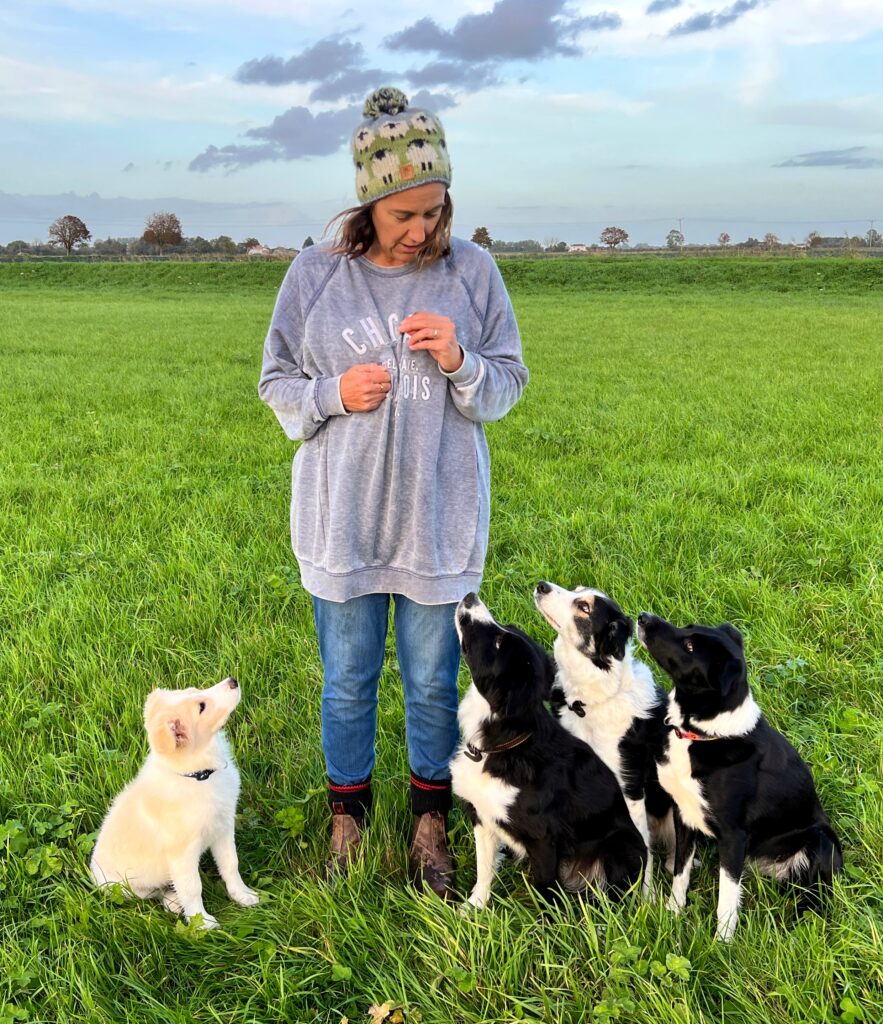 A woman standing in a field with four dogs.