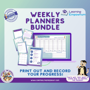 Weekly planners bundle print out and record your progress.