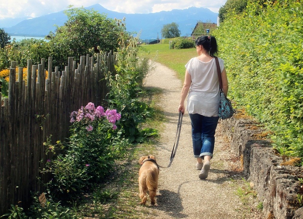 A woman assessing her walk with her dog against a backdrop of mountains.