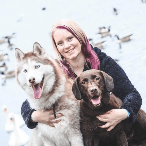 A woman posing with two huskies and ducks.