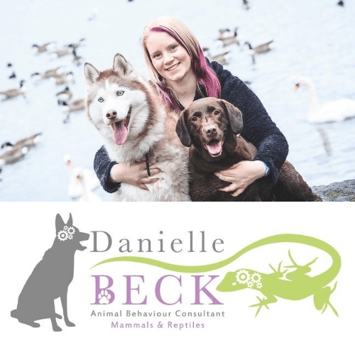 Danielle beck - animal behavior consultant.
