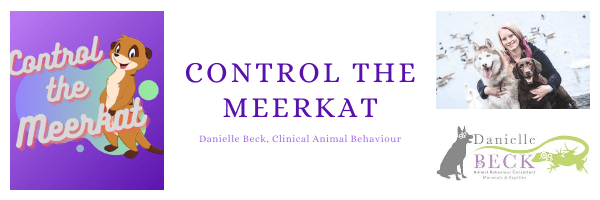 Control The Meerkat – Consultation; Lead Reactivity (6 months)