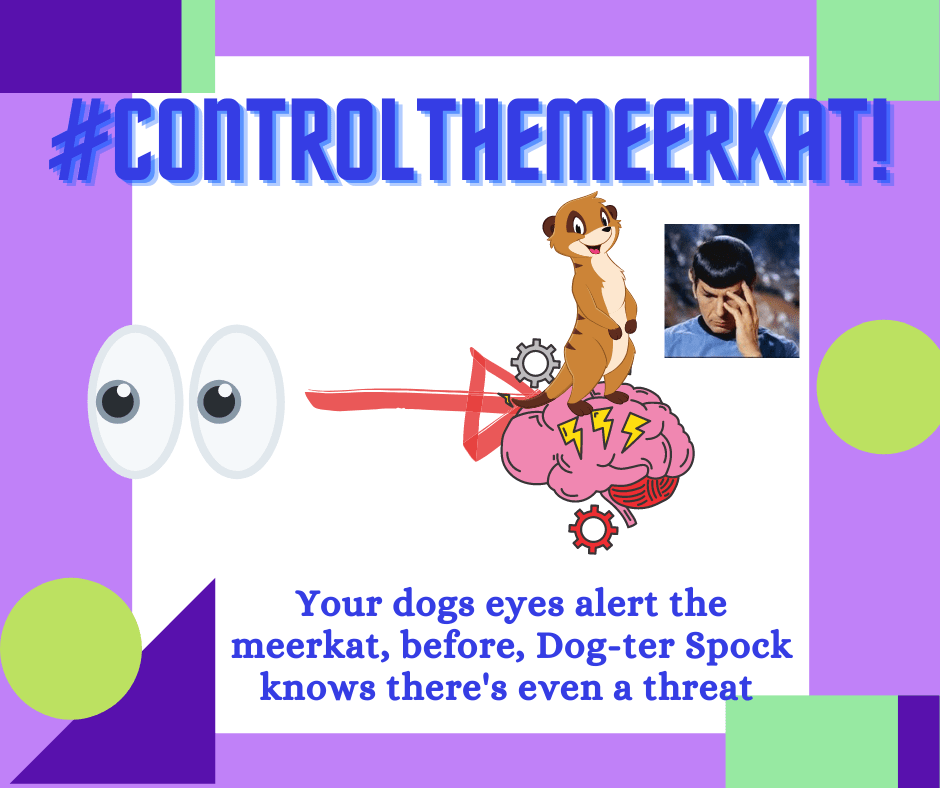 A poster with the words control the meerkkit your eyes elude the meerk before dog knows its threat.