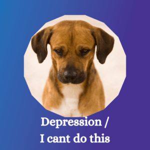 Grief over a reactive dog's behavior causing depression.