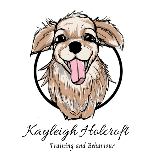 Kayleigh Holcroft specializes in training and behavior for reactive dogs, offering expert guidance through her reactive dog classes.