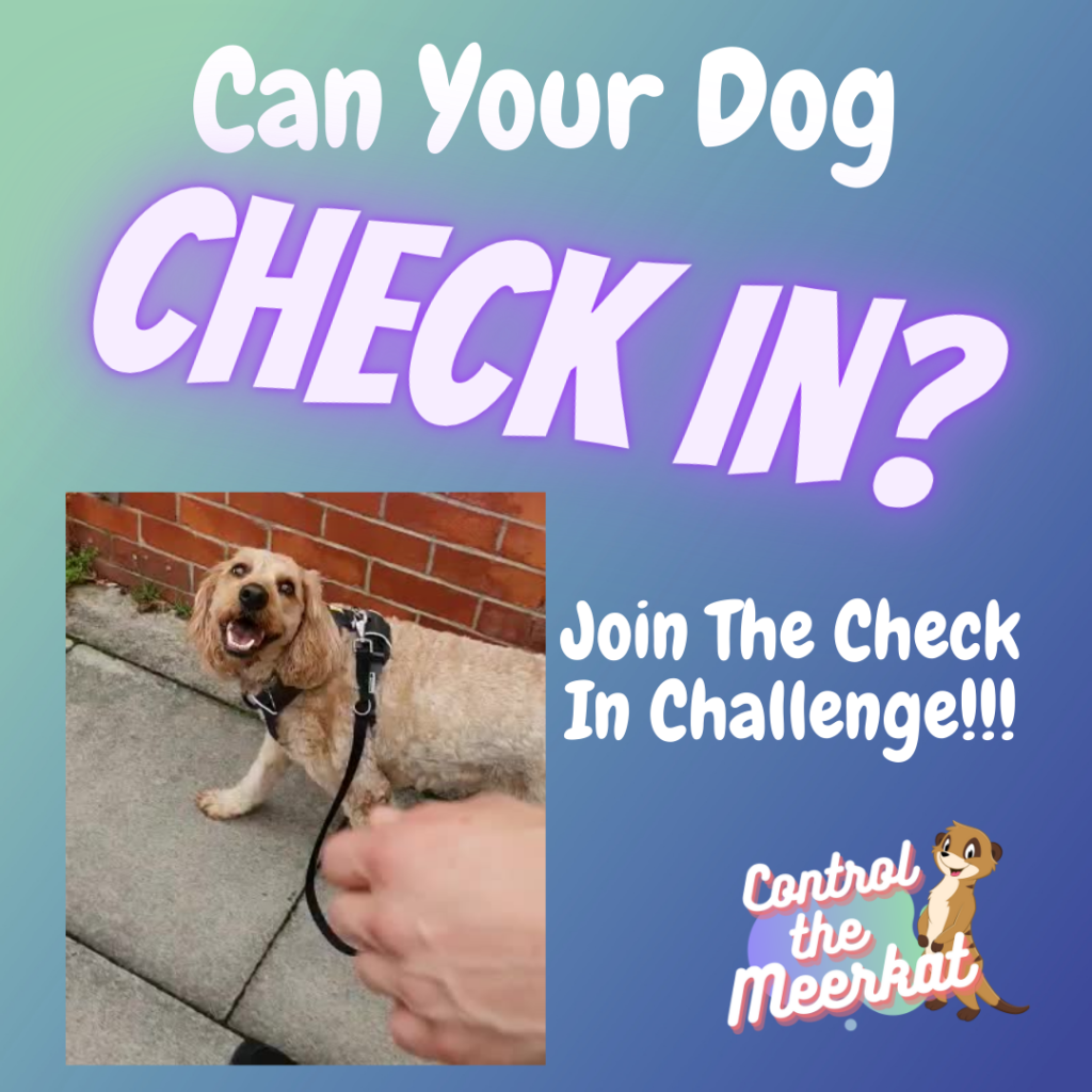 Can your dog check? join the check in challenge.