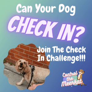 Can your dog check? join the check in challenge.