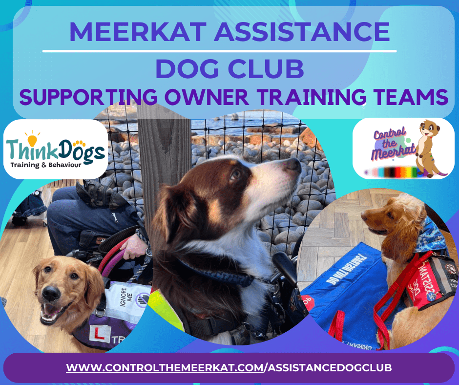 Merkat assistance dog club supporting owner training teams.