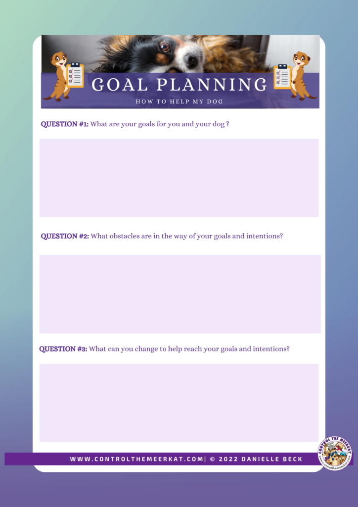 A one page goal planner to help you work out your goals for you and your dog and the steps needed to meet a specific goal or task and the order in which to do these.
