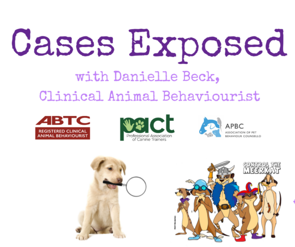 Interdog Aggression exposed by Danielle Beck, clinical animal behaviourist.