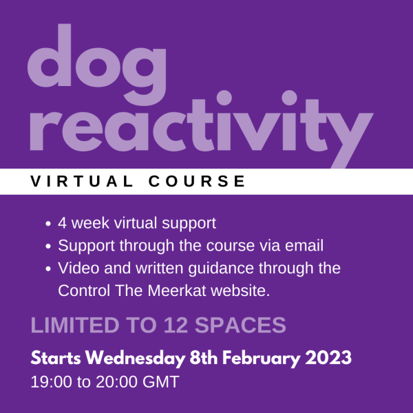 Virtual course, dog reactivity.