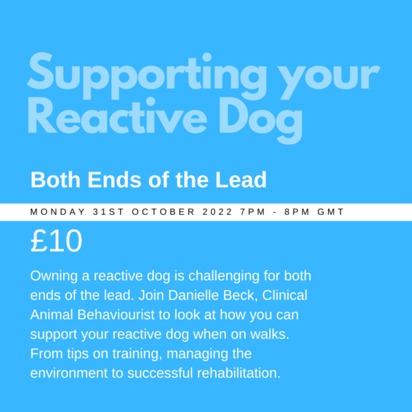Supporting, Reactive Dog