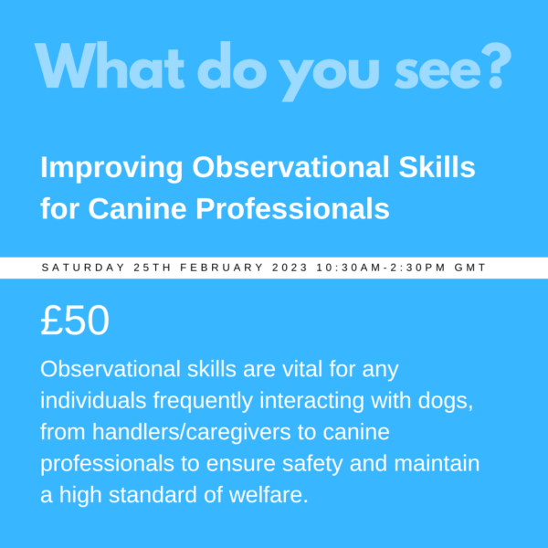 Live WEBINAR - Observational Skills for Pet Professionals.