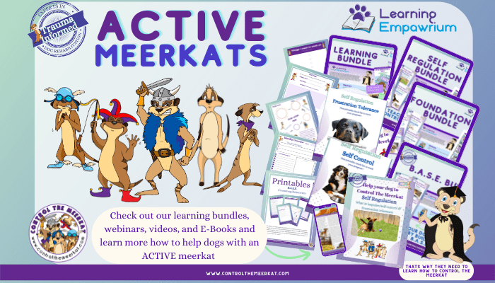 Active meerkats calmly engaging in various activities.