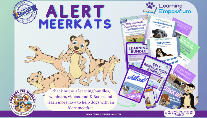Calm meerkat e-learning bundle.
