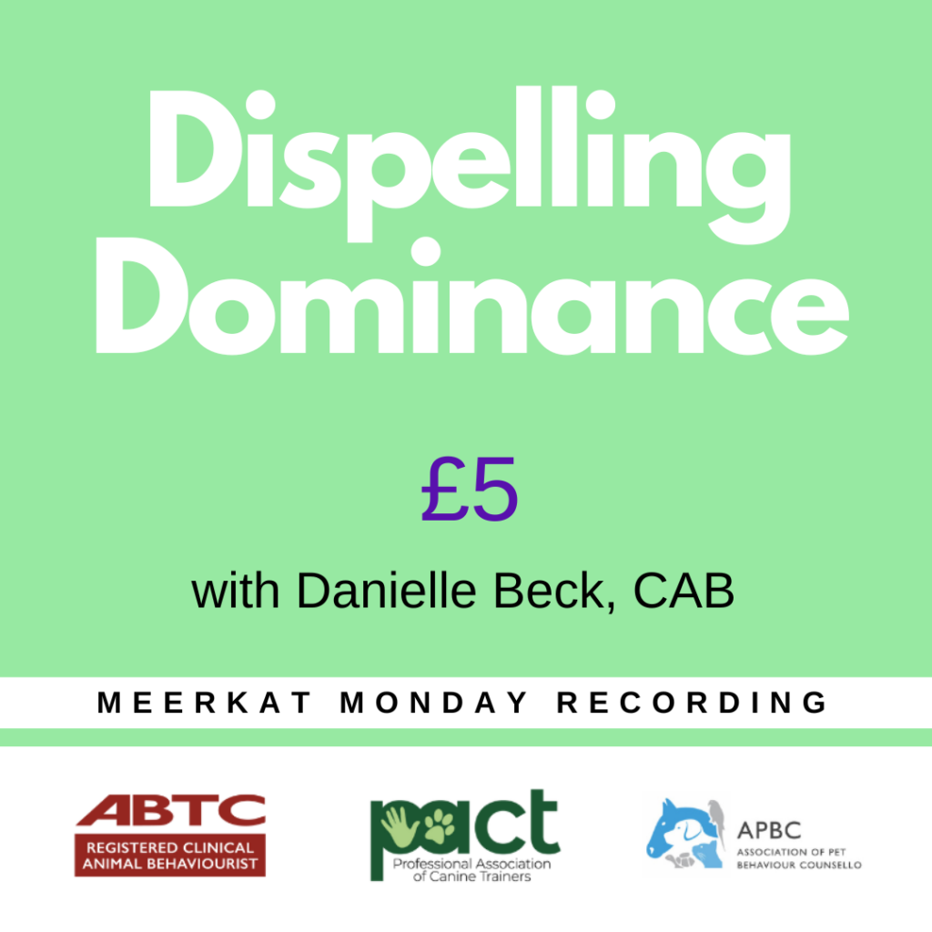 Meerkat Monday August 28th 2023 7pm BST Why won’t my dog take