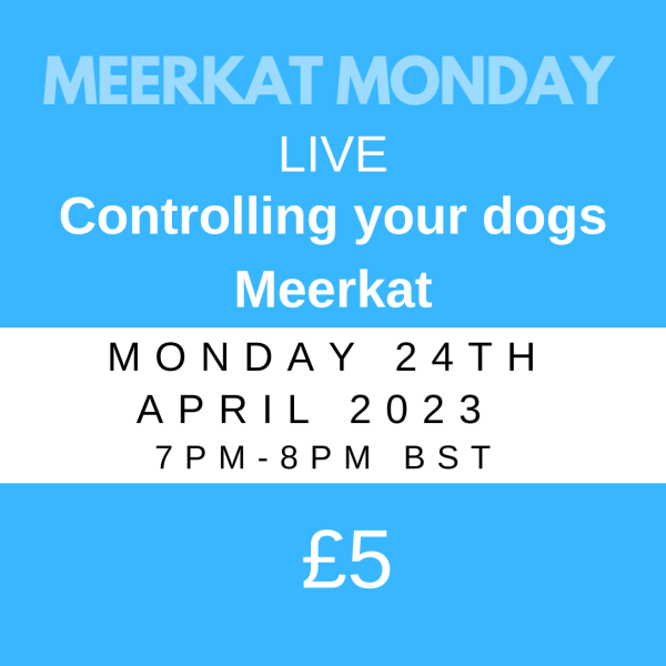 Live Meerkat Mania - Control your dogs Meerkat on Meerkat Monday.
