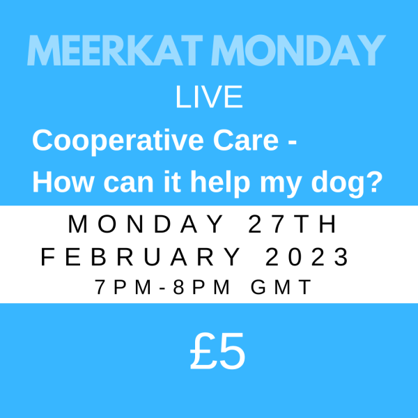 Cooperative Care: A Guide for Dog Owners on Meerkat Monday, February 27th, 2023.