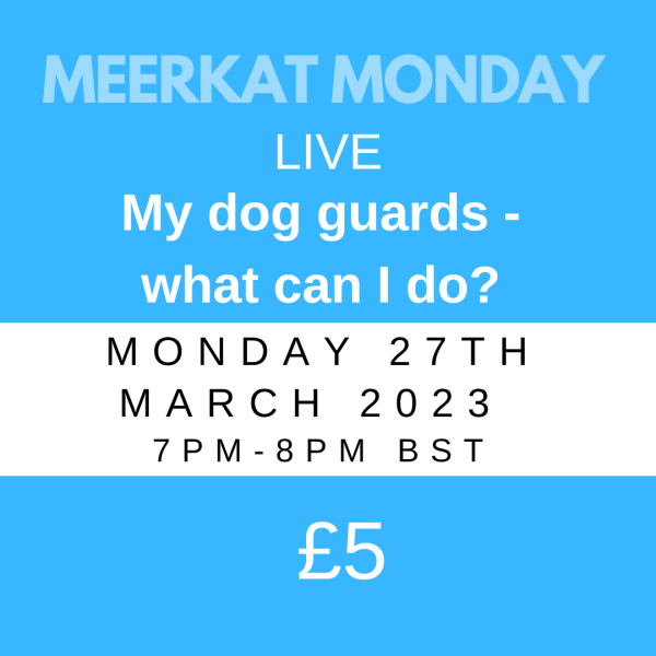 Meerkat Monday - March 27th 7pm-8pm BST: Seeking advice for a dog that guards.