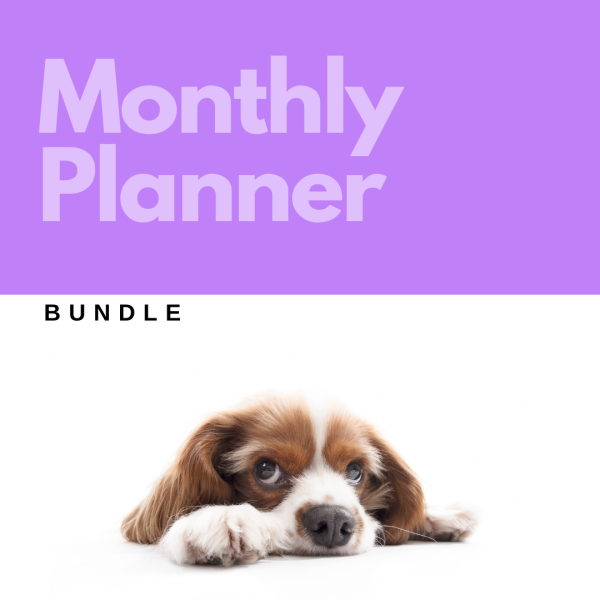 A dog resting on a purple background, showcasing the Monthly Planner Bundle.