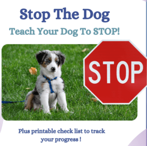 Teach Stop The Dog to stop.