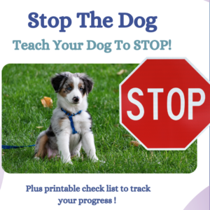 Teach Stop The Dog to stop.
