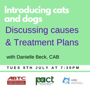 Introducing Predation and chase – Discussing causes & Treatment plans Tuesday 11th June (Copy), cats and dogs discussing predation and treatment plans.