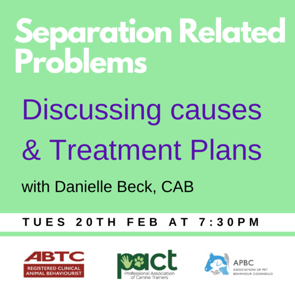 Discussion of Separation Related Problems – Discussing causes & Treatment and development of treatment plans.