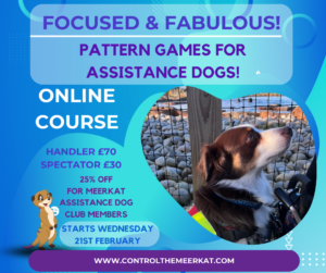 Focused & fabulous pattern games for assistance dogs.