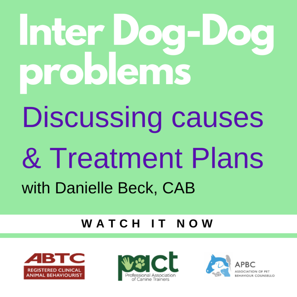 Inter DogDog problems Discussing causes & Treatment Plans WATCH IT