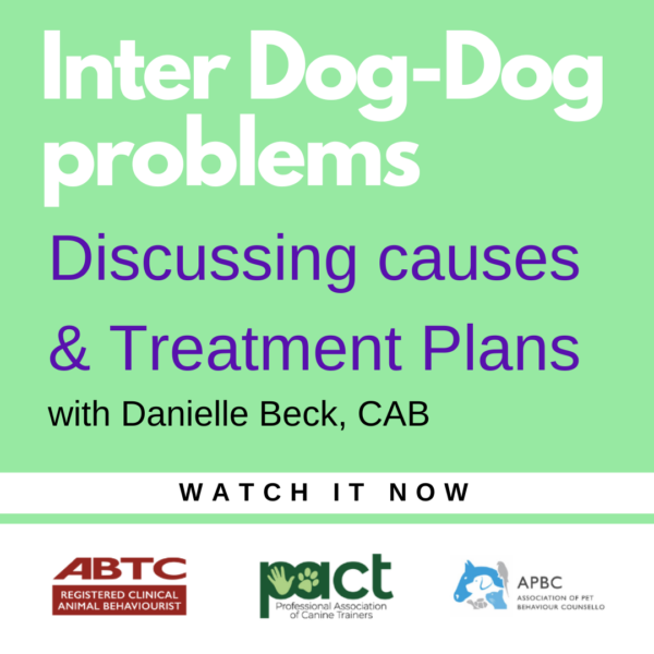 Inter dog problems discussing causes and treatment plans.