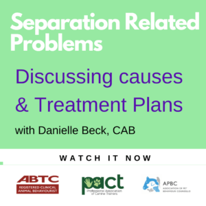 Promotional material for a webinar on separation-related problems in animals, featuring speaker danielle beck.
