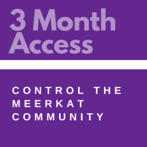 Promotional graphic with "3 month access" at the top and "control the meerkat community" at the bottom, set against a purple background.