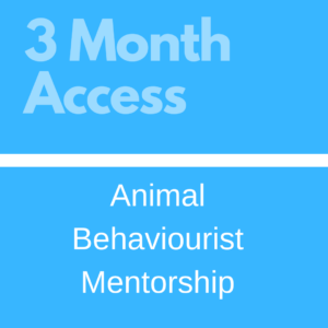 Graphic for "3 month access animal behaviourist mentorship" with text in white on a bright blue background.