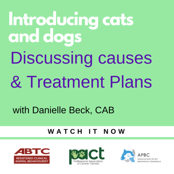 Promotional image for a session titled "Introducing cats and dogs, Discussing causes & Treatment Plans" with Danielle Beck, CAB. Logos of ABTC, APDT, and APBC included. "WATCH IT NOW" text at the bottom.