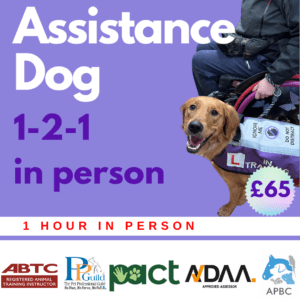 A golden retriever wearing a purple vest labeled "Assistant Dog" and sitting beside a wheelchair. Text details a 1-hour, in-person assistance dog training session for £65. Logos of various organizations are shown at the bottom.