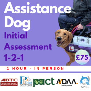 A golden retriever wearing a purple vest sits next to a person in a wheelchair. Text reads: "Assistance Dog Initial Assessment 1-2-1 £75, 1 hour - in person." Various training organization logos are at the bottom.